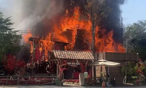 Mở cửa lại quán cà phê như 'vườn địa đàng' bốc cháy dịp Tết ở TP.HCM