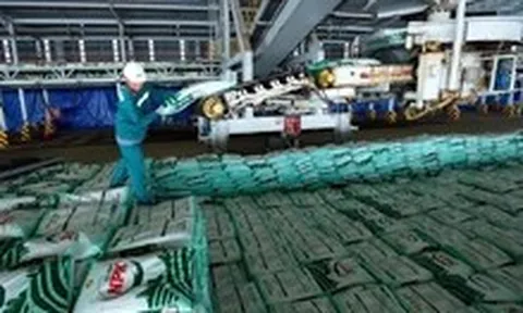 Phân bón Cà Mau hướng tới doanh thu 30.000 tỉ đồng, mở rộng xuất khẩu sang thị trường mới