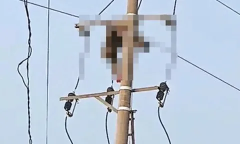 Trèo lên cột điện bắt chim, nam sinh lớp 9 bị điện giật tử vong