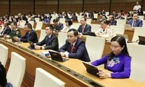 Ngày 24-11 hằng năm là Ngày Văn hóa Việt Nam, được nghỉ lễ