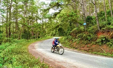 Gần 83 ha đất rừng được chuyển đổi để làm khu đô thị ở Măng Đen