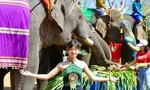 'Dấu chân voi hạnh phúc' và cách khai thác du lịch không cưỡi voi