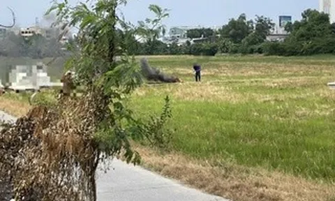 TPHCM: Xử phạt 2 người đốt rác gây ô nhiễm