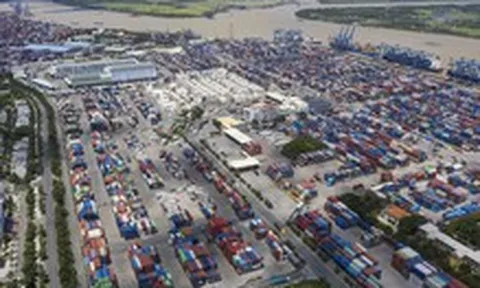 Tân Cảng Sài Gòn thu phụ phí container dựa trên biến động giá dầu