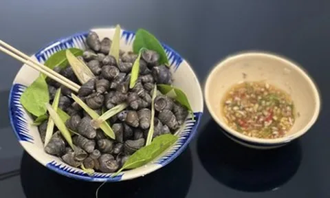 Luộc ốc bao nhiêu phút để vừa chín tới và dễ khều nhất?