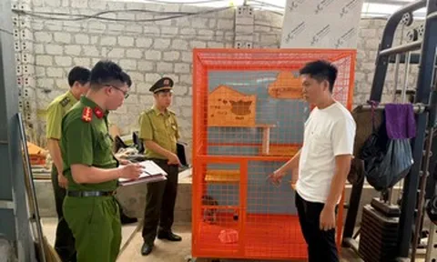 Người đàn ông nuôi động vật hoang dã quý hiếm trái phép suốt 4 năm tại nhà
