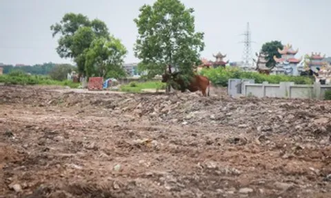 Bãi rác tự phát 20 năm sát nghĩa trang ở Ninh Bình đã được dọn dẹp