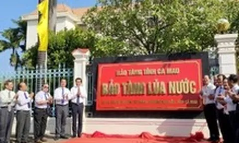 Ngắm công cụ trồng lúa xa xưa tại Bảo tàng Lúa nước vừa thành lập tại Cà Mau