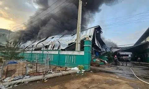 Cháy lớn tại một doanh nghiệp ở Gia Lai, thiệt hại ước tính nhiều tỉ đồng
