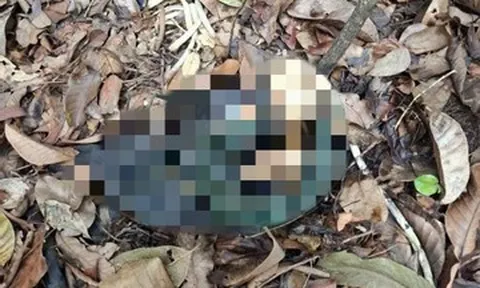 Phát hiện bộ xương người trong vườn quốc gia, bên cạnh có dao, ba lô