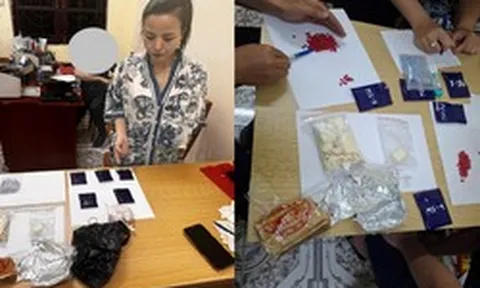 Khám xét khẩn cấp chỗ ở, bắt giữ Nguyễn Hoàng Anh