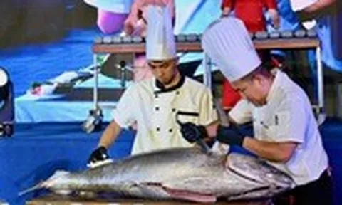Khách Tây, khách ta thích thú xem phi lê cá ngừ, ăn sashimi thoải mái