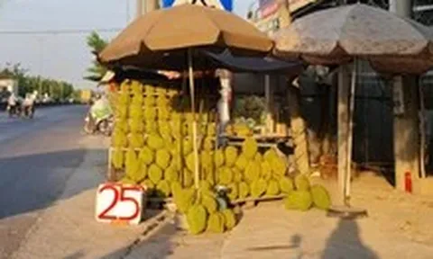Giá sầu riêng rớt nhưng bạn đọc nói chưa bao giờ mua được giá rẻ