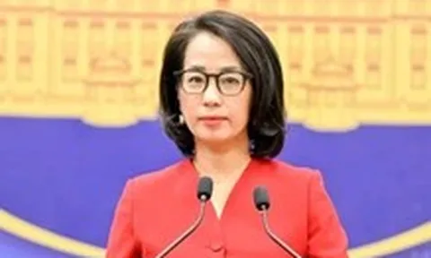 Việt Nam đề nghị Mỹ đánh giá khách quan về bảo hộ sở hữu trí tuệ