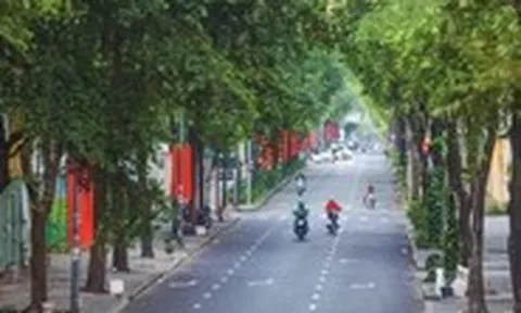 Lý Tự Trọng - con đường có lá me bay