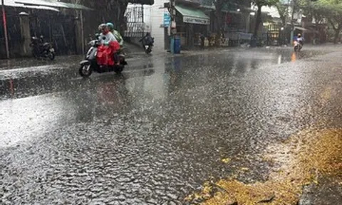TPHCM đón 'mưa vàng' hạ nhiệt sau chuỗi ngày nắng nóng kỷ lục