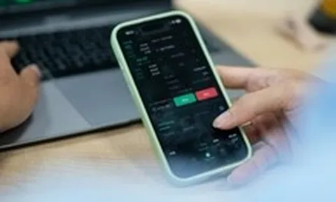 ‘Nữ hoàng cá tra’ Vĩnh Hoàn tạm lỗ gần 40% khi đầu tư cổ phiếu NLG, DXS