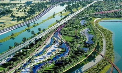 Hà Nội thống nhất phương án di dời, sắp xếp lại dân cư ngoài đê sông Hồng
