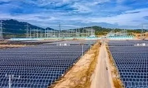Một đại gia điện mặt trời bất ngờ báo lỗ gần 1.000 tỷ năm 2025, vốn chủ sở hữu giảm 62%