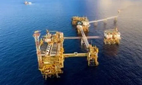 Các doanh nghiệp 'dòng P' lợi nhuận cao nhất 15 quý
