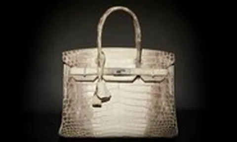 Túi Hermès da cá sấu bạch tạng: Biểu tượng xa xỉ được giới siêu giàu săn lùng