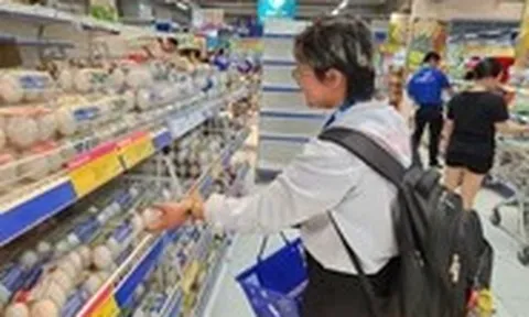 Giá gà và trứng giảm sâu, người nuôi thua lỗ