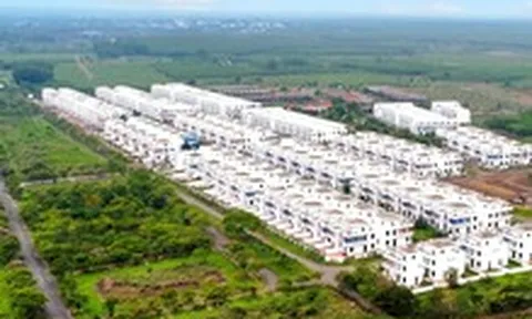 Một đại gia bất động sản 'cạn' tiền, có 1.560 tỉ đồng gửi bị MBBank phong tỏa