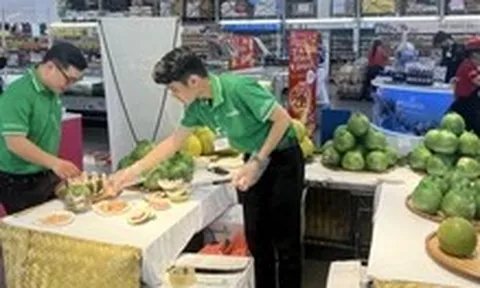 Từ vỏ trái cây bị lãng quên đến giấc mơ nông nghiệp xanh