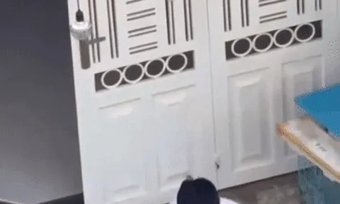 Xác minh clip người đàn ông đánh nam shipper vì chuyện 'cạo lông chó'