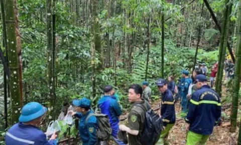Huy động hơn 300 người tìm kiếm người đàn ông mất tích trong rừng sâu