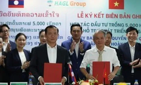 Chính quyền tỉnh Champasak và Bầu Đức ký thỏa thuận phát triển 5.000 ha cà phê, nhắm mục tiêu vùng trồng lớn nhất thế giới