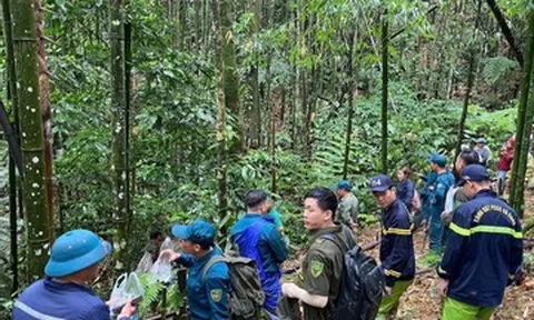 Gần 300 người băng rừng, lội suối tìm kiếm người đàn ông mất tích