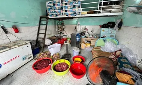 Cơ sở dùng chất cấm biến thịt heo nái thành thịt bò, mỗi ngày tiêu thụ 140kg