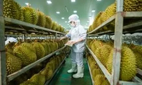 Danh sách mới nhất các phòng kiểm nghiệm Cadimi trong sầu riêng được Trung Quốc công nhận