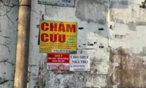 Bóc gỡ quảng cáo trái phép tràn lan trên khắp tuyến phố ở TP.HCM