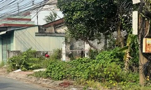 Vụ thảm án ở Tây Ninh: Địa phương làm thủ tục báo tử cho nghi phạm