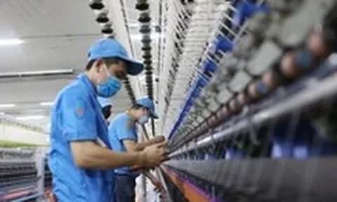 Nhìn lại 1 năm triển khai Nghị quyết 68: Doanh nghiệp lớn hào hứng, doanh nghiệp nhỏ lo âu