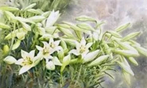 Từ biển khơi mênh mông tới phố thị quyến rũ, loa kèn tháng tư và tâm tưởng con người