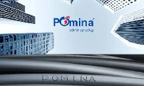 Báo cáo tài chính hé lộ 'mối quan hệ' giữa Vingroup và Pomina