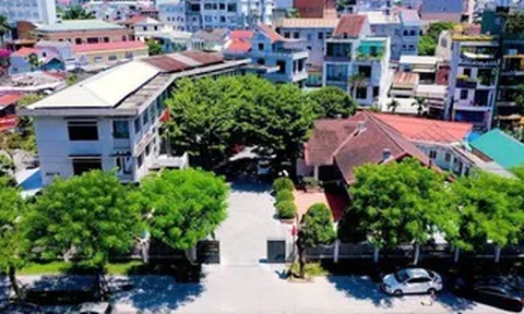 Lý do Giám đốc Sở Nông nghiệp và Môi trường TP Huế bị đề nghị kỷ luật