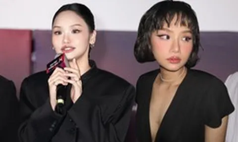 Sự nghiệp Miu Lê ảnh hưởng thế nào sau khi bị khởi tố tạm giam?
