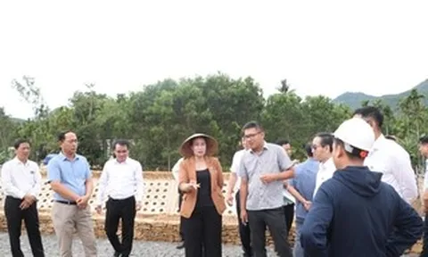 Lãnh đạo Đà Nẵng ra "tối hậu thư" với dự án gần 50 tỉ đồng kéo dài 9 năm