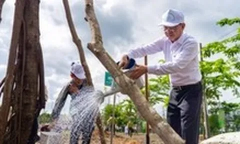 TP.HCM trồng hơn 500 cây xanh tại công viên văn hóa Láng Le
