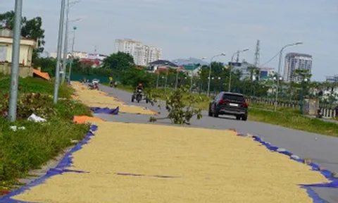 Cảnh tượng gây 'nhức mắt' trên đường, tài xế ô tô thấp thỏm lo va chạm