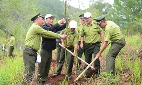 Lâm Đồng: Trồng 1.000 cây xanh tại Công viên Mai Anh Đào