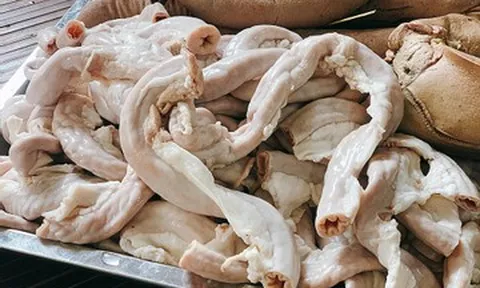 Luộc lòng non trong bao lâu? Cách luộc lòng non không bị dai