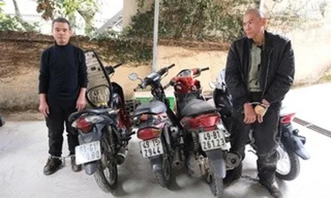 Bắt nhóm "cẩu tặc" ở Lâm Đồng