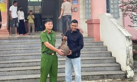 Người dân giao nộp chim diều hoa Miến Điện, tê tê Java quý hiếm