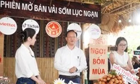 Phó chủ tịch tỉnh livestream bán vải thiều sớm, 'mát tay' chốt đơn hơn 31 tấn