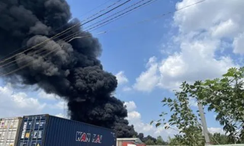 Cháy lớn ở công ty tại Đồng Nai, cột khói cao cả trăm mét